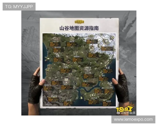 从零起步掌握和平精英全方位技巧与策略指南