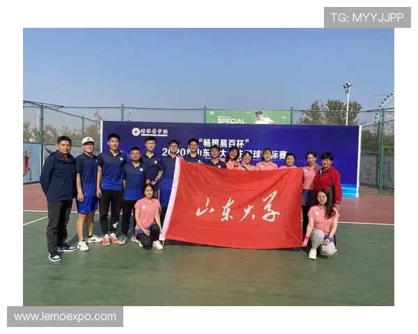 北京网球队在全国网球团队协作排行榜中荣获第七名的佳绩分析