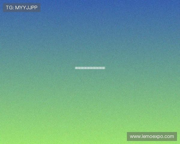 广州排球队进攻战术解析与热点动态深度剖析