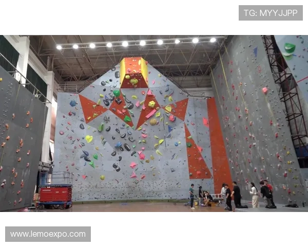 武汉攀岩队在全国攀岩战术排行榜中荣获第五名的佳绩分析