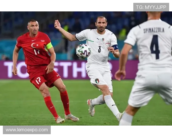 法国与土耳其足球赛精彩对决结果揭晓引发热议