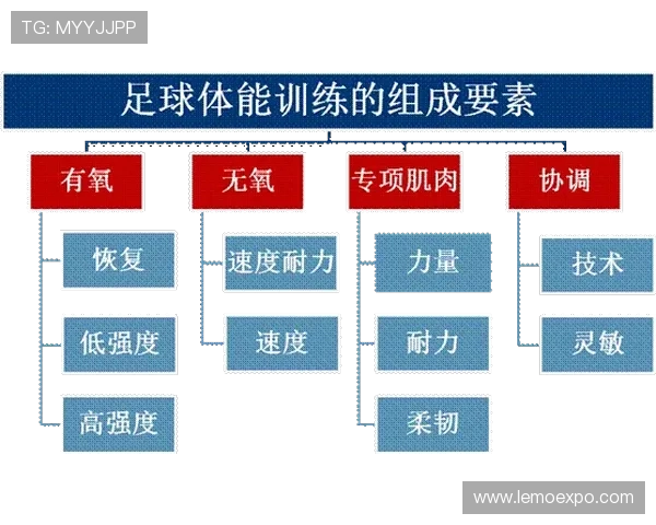 深圳足球队耐力提升之路：从训练到比赛的全方位探索与实践