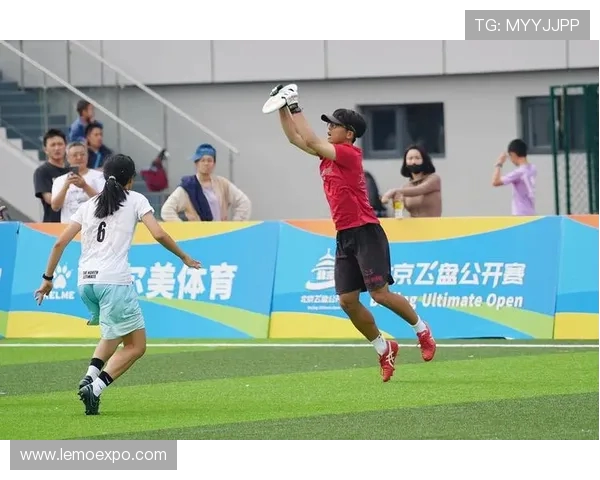 南京飞盘队与深圳飞盘队对决后的战术分析与经验总结