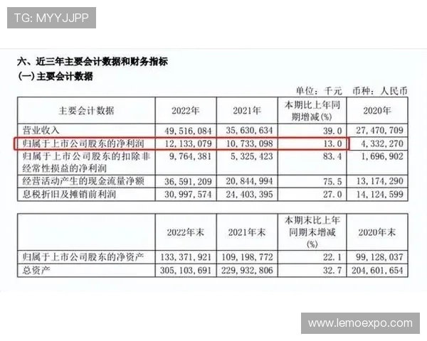 深入探讨上海攀岩队成员个人能力差异及其对团队表现的影响分析